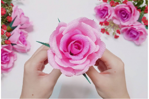 Cách làm hoa hồng bằng giấy vệ sinh
